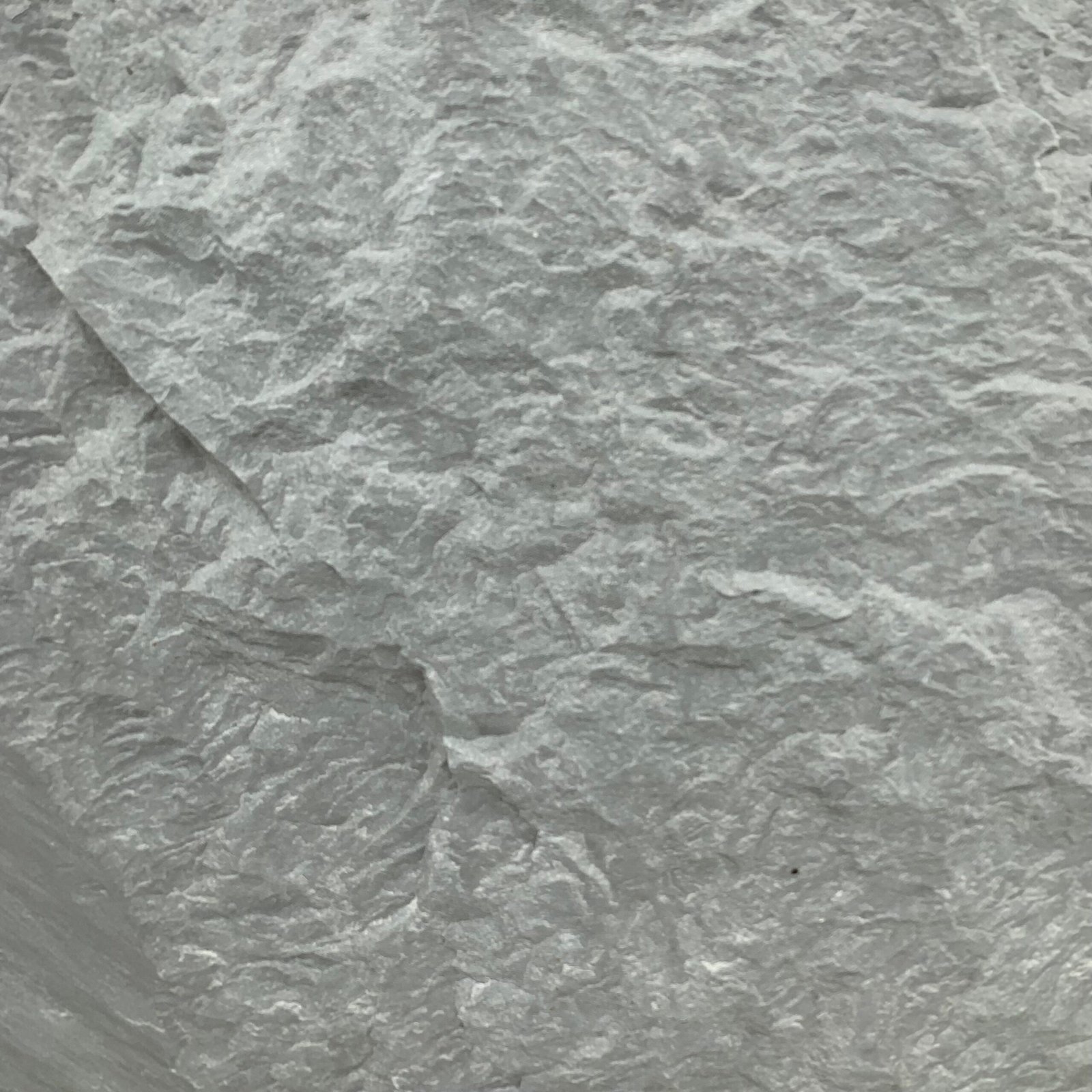 15) CP