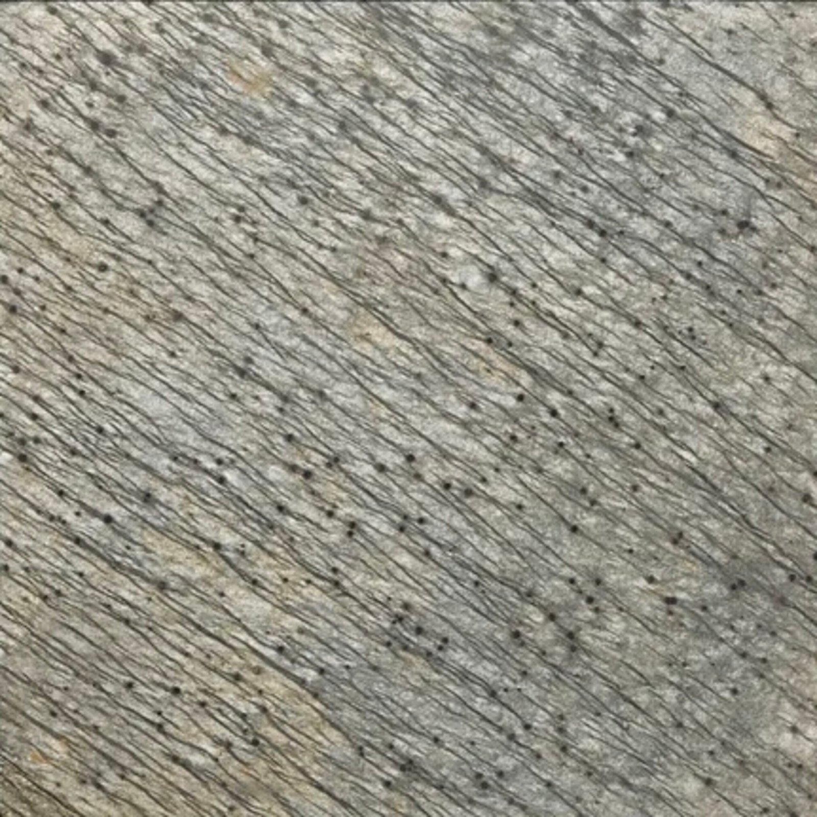 2) Brown